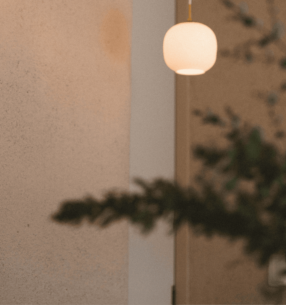 特別外来の画像